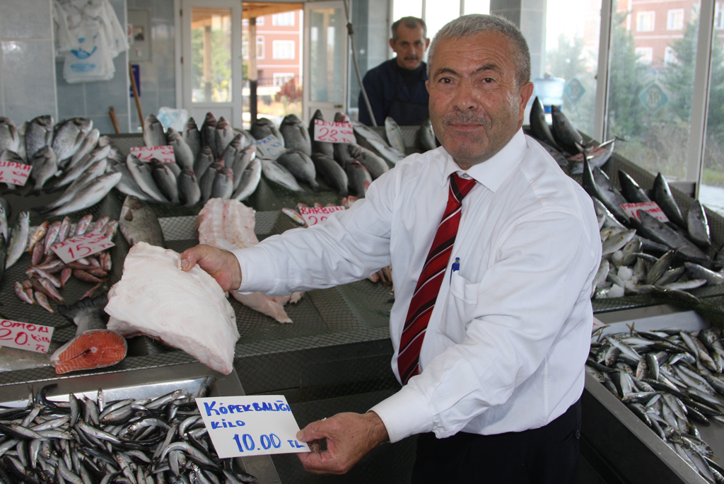 köpek balığı eti