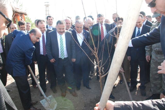Jandarmadan 175. Yıl Anısına Doğaya Katkıda Bulundu