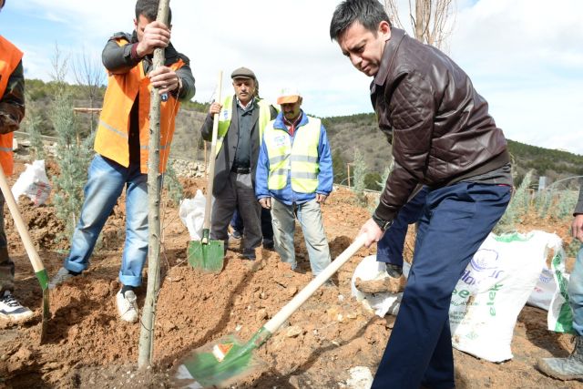 Erkek şiddeti İle öldüler, Fidanlarda Can Buldular