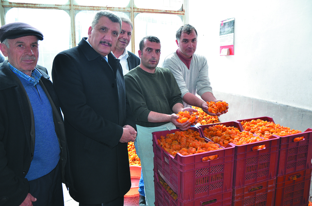 Selahattin Gürkan: kayısı Yerleşkesini Kuracağız