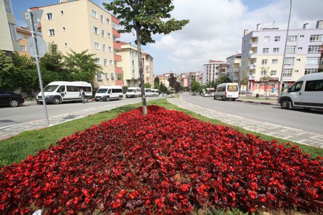 Kartal Ve çevresi çiçek Bahçesi Gibi