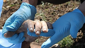 Kızı İçin Damadını Öldürdü!