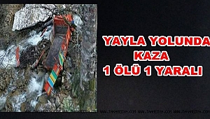 Yayla Yolunda Kaza 1 ölü 1 Yaralı