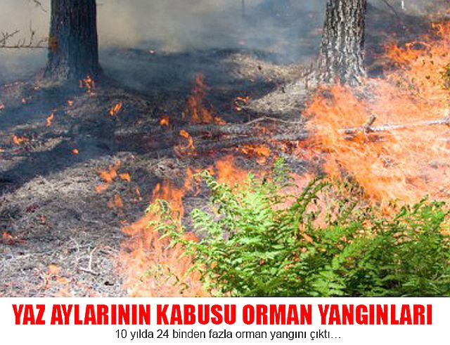 YAZ AYLARININ BÜYÜK KABUSU ORMAN YANGINLARI