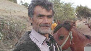 Kurbanlık Dana, Sahibi Abdullah Gökçe'yi Öldürdü!