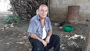 Nedim Sümbül Yolun Kenarında Ölü Olarak Bulundu!