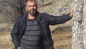 Define Avcılarının Feci Sonu! Kayanın Altında Ezilerek Can Verdiler!