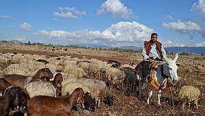 HATAY'DA MERRAH GELENEĞİ YAŞATILIYOR.