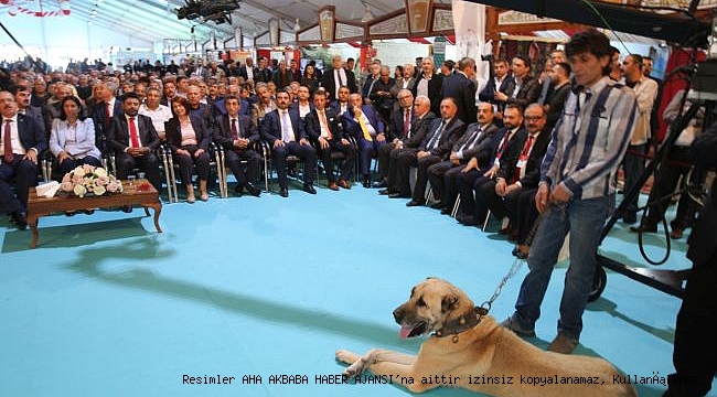 SİVAS'IN KALBİ İSTANBUL'DA ATTI