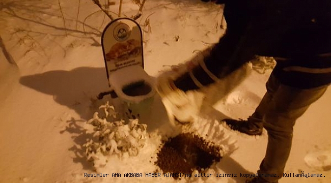 Sokak Hayvanlarına Gıda Desteği