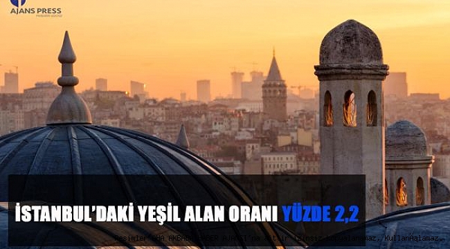 İstanbul'daki Yeşil Alan Oranı Yüzde 2,2
