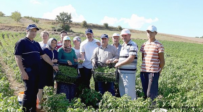 Ata tohumları Kocaeli’nde hayat buluyor