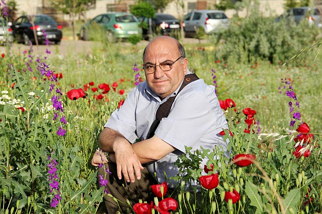 Fotoğraf severler gelinciklerin güzelliğini karelere yansıtıyorlar