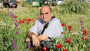 Fotoğraf severler gelinciklerin güzelliğini karelere yansıtıyorlar