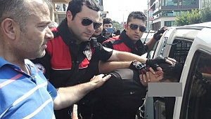 Terazili Uyuşturcu tacirleri Yunusların kucağına düştü