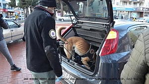 Kula’da narkotik ve asayiş uygulaması gerçekleştirildi.