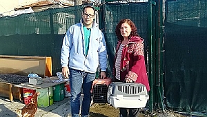 SOKAK CANLARI FOÇA'DA EMİN ELLERDE