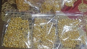 Tekirdağ, Malkara'dan Türkiye'ye Tohum Takası başladı