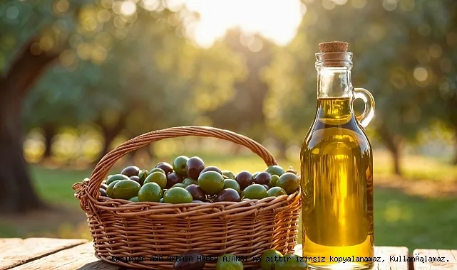 Organik Zeytinyağı Üretiminde Yeni Standartlar: Topraktan Şişeye Saf Dönüşüm