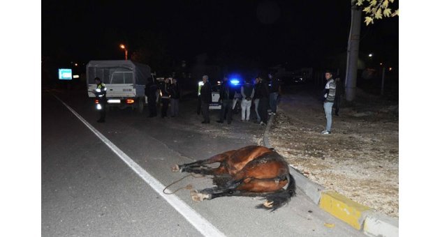 Adıyaman'da Bir Otomobil Ata Çarptı