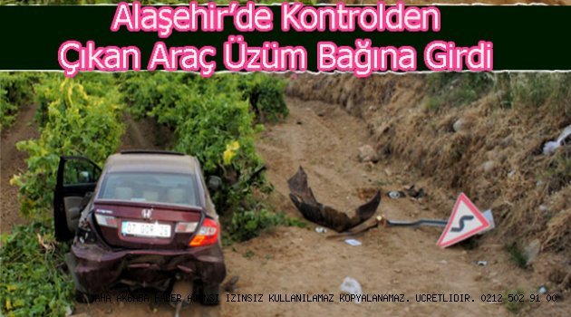 Alaşehir'de kontrolden Çıkan Araç Üzüm Bağlarına Girdi