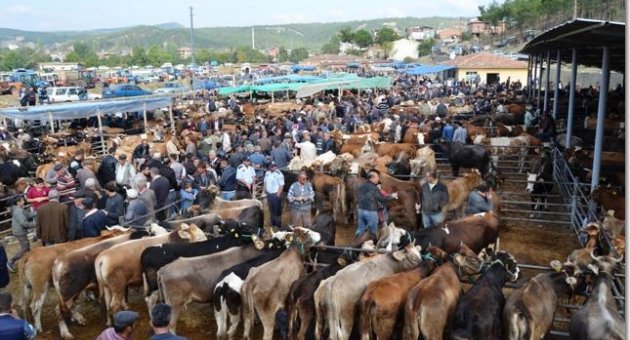 Boyabat'ta Kurban Fiyatları Son Üç Günü Düşüşle Kapattı