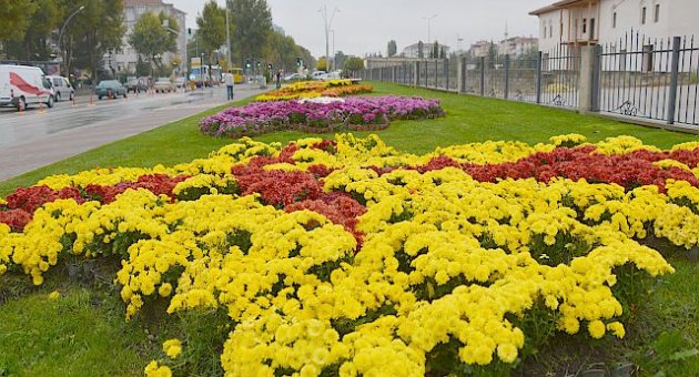 Malatya Çiçek Açıyor.