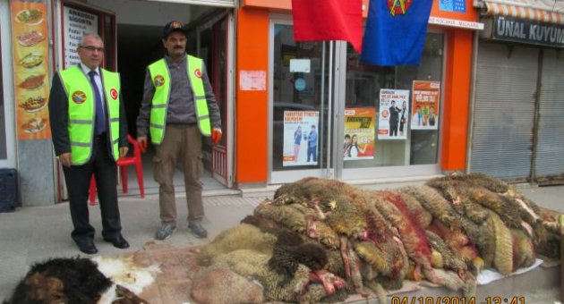 Malkara Türk hava kurumu deri toplamada kıskandırdı