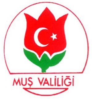Sakın karayolunu kullanmayın!