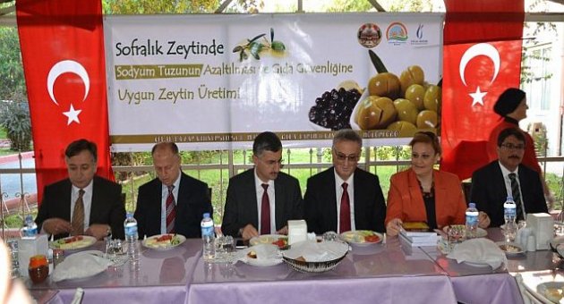 Sofralık Zeytinde Kalsiyum Dönemi