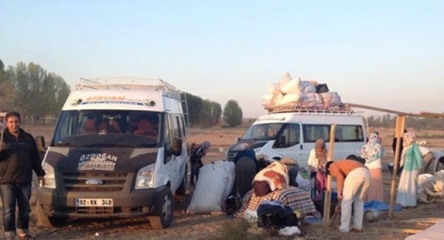 Tarım İşçisi Kahta’lı Ailelerin Dramı