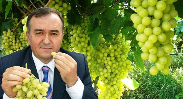 Üzüm Alımı İçin Tariş’e 80 Milyon Lira Kaynak Aktarılmasına AKP'den Red