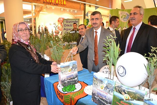 Yılbaşı İçin Manisalılara 10 Bin Fidan Dağıtıldı