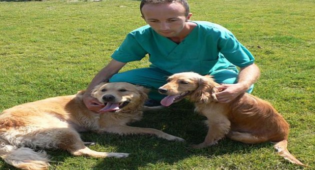 Yoldaş Hayvan Refahı Konferansı Ve Etkinlikleri Bakırköy’de Başlıyor