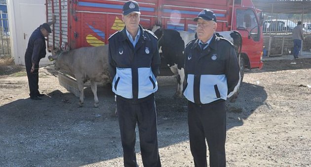 Zabıta Müdürlüğü Canlı Hayvan Pazarı’nda Görevde